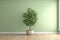 Blank sage green wall in house with green tropical tree, AI generated