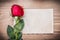 Blank sheet of paper and red rosebud on wooden board