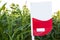 A blank sign at the edge of the field to indicate the variety of cultivated corn