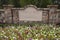 Blank Sign in Rock Wall Surrounded by Flowers and Trees