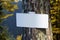 Blank sign on trunk of tree in autumn forest