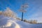 Blank signpost with three white arrows against beautiful blue sky in sunny frozen day. Blank track pointers or guide post on