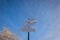 Blank signpost with three white arrows against beautiful blue sky in sunny frozen day. Blank track pointers or guide post on