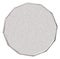 Blank silver coin