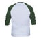 Blank sleeve Raglan t-shirt mock up templates color white/green back view on white background