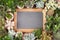 Blank, small blackboard surrounded by succulent plants