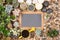 Blank, small blackboard surrounded by succulent plants and stones