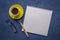 blank spiral notebook with ruled paper, flat lay with coffee, reading glasses and pen