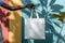 Blank Tote Bag Mockup - a Hand Holding White Bag