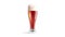 Blank transparent red beer glass mockup, looped rotation, 4k