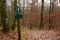 A blank warning sign along a forest trail