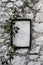 Blank white canvas framed with climbing plants on a textured stone wall