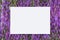 Blank white card on violet liatris flowers