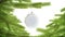Blank white christmas ball hanging pine mock up, looped rotation