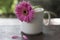 Blank white coffee cup and flowers. A cup of morning coffee or tea with soft pink purple daisy flowers on the table.