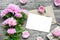 Blank white greeting card with pink aster flowers bouquet and envelope with flower buds and gift box