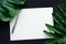 Blank white notepaper with tropical leaves laying on black table