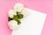 Blank white paper and beautiful ball flowers on pink background