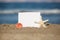 Blank white paper card and seashells on sand beach