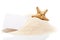 Blank white visit card with starfish on pile of sand