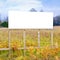 A blank wooden advertising billboard immersed in a field