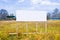 A blank wooden advertising billboard immersed in a field