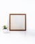 Blank Wooden frame with small Green plant succulent