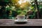 Blank wooden tabletop against blurry natural background