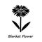 Blanket flower glyph icon. Gaillardia aristata garden plant with name inscription. Arizona apricot inflorescence
