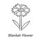 Blanket flower linear icon. Gaillardia aristata garden plant with name inscription. Arizona apricot inflorescence