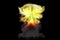 blast 3D illustration of huge high detailed mushroom cloud explosion with fire and smoke looks like from fusion bomb or any other