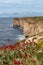 Blata tal Melh coastline cliff in Malta