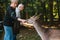 Blatna, Czech Republic, September 27, 2017: Elderly people are fed by hand deer in the park next to the castle of Blatna