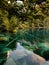 Blausee in Switzerland. Tranquil landscape with transparent water.