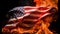 Blaze of Discontent: The Burning American Flag