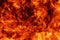 Blaze red fire natural background. Dangerous firestorm abstract texture