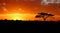 Blazing African Sunset