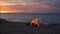 Blazing campfire on beach, summer evening. Bonfire in nature as background. Burning wood on white sand shore at sunset.