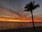 Blazing orange sunset on Gulf of Mexico beach with single palm in silhouette.