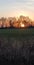 Blazing Sunset Overlooking Vividly Green Field