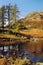 Blea Tarn, Langdale, Cumbria