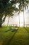 Bleach chairs under the palm tree viewing the sunset