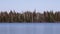 Bleached Trees at Big Lake, Oregon, Willamette National Forest