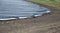 Bleaching asparagus under a melt plastic sheet with overlapping tall rows like field graves. the harvest is done with special tong