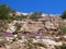 Bleak landscape with the typical vegetation of the island called