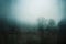 A bleak moorland with trees silhouetted against a foggy hillside on a spooky winters day in the countryside. With a grunge,