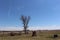 Bleak prairie cemetery in spring