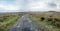 A Bleak Winter\'s Day on dartmoor