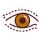 Blepharoplasty color line icon. Eye shape change cosmetic surgery. Isolated vector element. Outline pictogram for web page, mobile