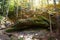 Blessed Stone and sacred spring in forest near Manyava Skete in Ukraine